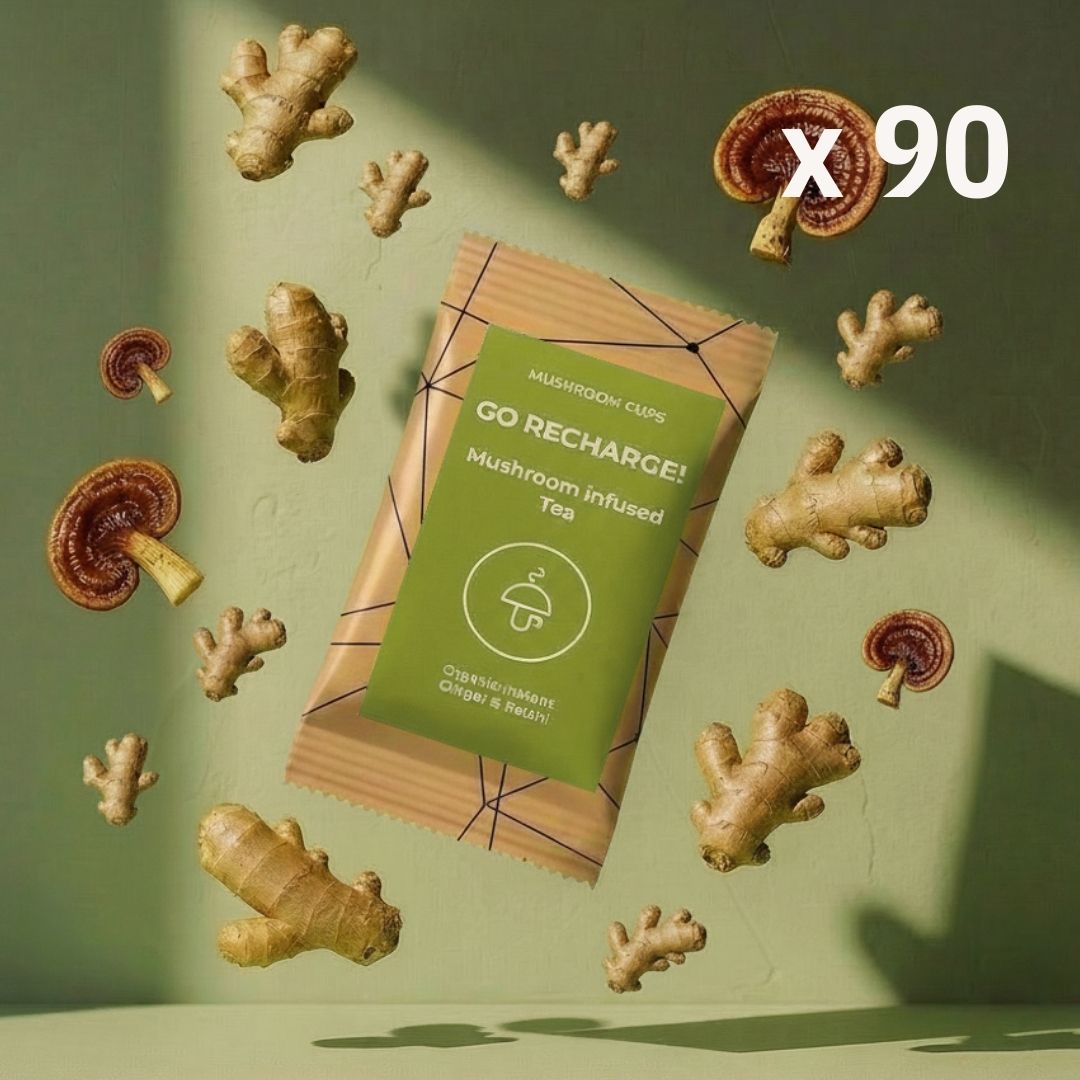 Go Recharge - čaj s houbami pro zdraví střev a trávení