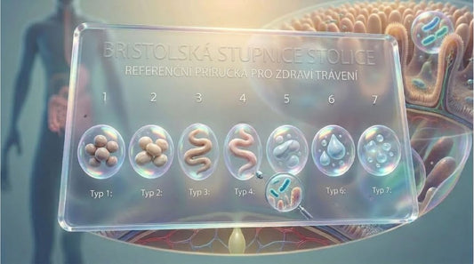 Bristolská škála stolice: co vám střeva říkají