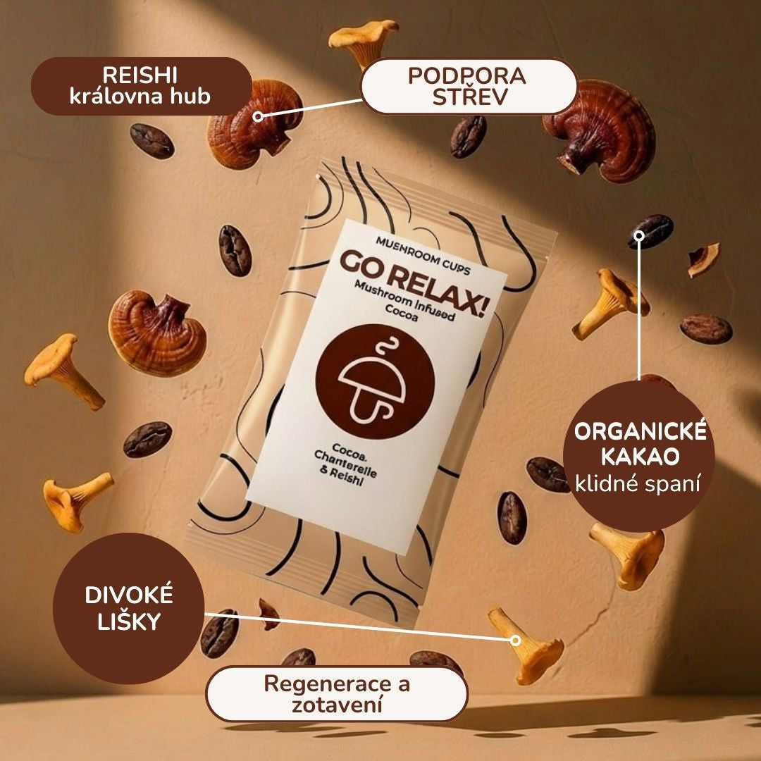 Go Relax – organické instantní kakao s liškami a reishi (10 porcí)